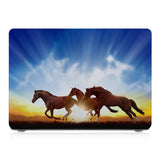 MAC-ASORTED01-SUNRISEHORSES