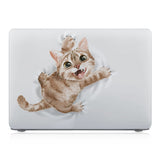 MAC-CATFUN-07